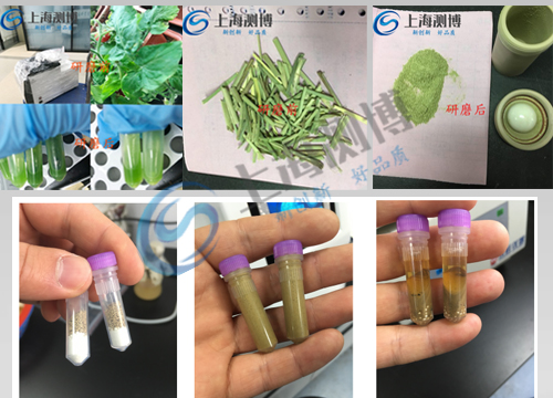 全自動樣品快速研磨儀