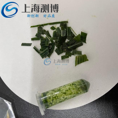 高通量組織研磨儀研磨小麥麥苗實(shí)驗(yàn)現(xiàn)場操作結(jié)果展示